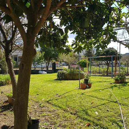 Apartament Alex House Kouramaditika